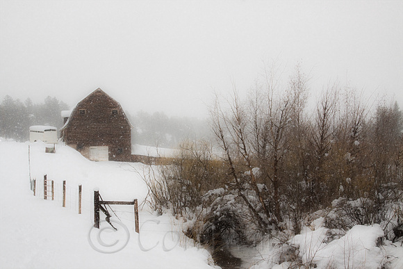 Snowing at Lower Lake Ranch